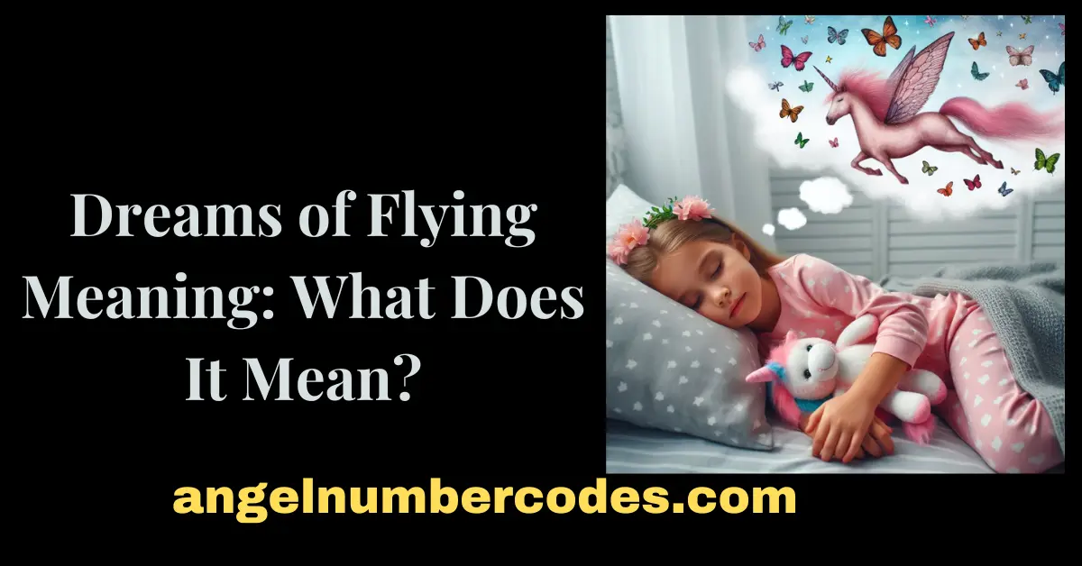 Dreams of Flying Meaning What Does It Mean